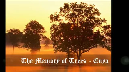 The Memory of Trees - Roisin
