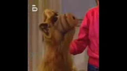 Alf 1x01 