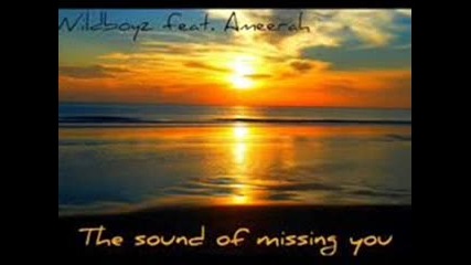 Wildboyz ft. Ameerah - The Sound Of Missing You