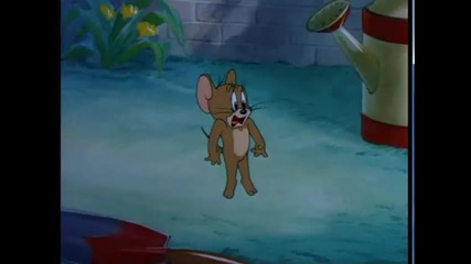 Tom and Jerry Solid Hd video