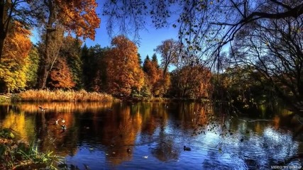 Красивые и ухоженные женщины