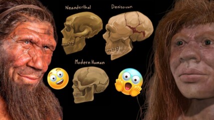 Учени откриха нов вид неандерталец? 🤣😲