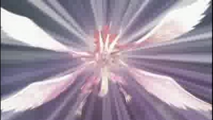 Yu - Gi - Oh 5ds Absolute Powerforce