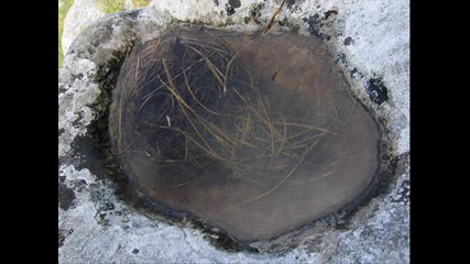 Agalloch - Hollow stone