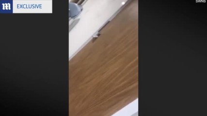 Британски художник успя да влезе в изпепелената от пожар сграда в Лондон