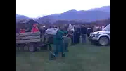 maksimus v zlatica 2011
