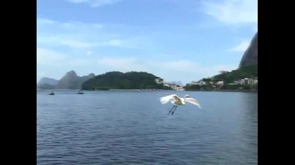 smooth jazz - joyce - fa da bahia 