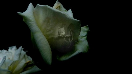 Ernesto Cortazar - Passage Of Time