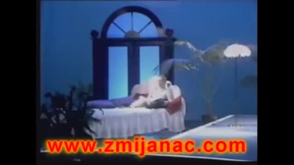 Vesna Zmijanac - Leto 1988