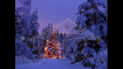 merry christmas. 