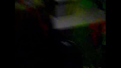Sviri Na Kitara Ss Efekti
