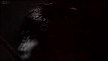 Dr Stranger omeb ody to Die for