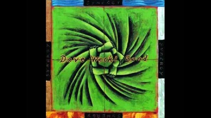 Dave Weckl Band - 1999 - Synergy - Wet Skin
