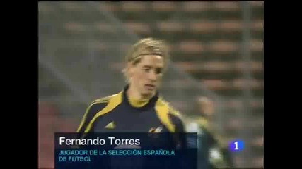 Fernando Torres 9
