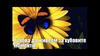 Приказка, за която трабва да живеем ...