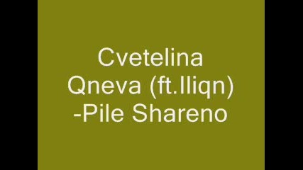 Cvetelina Qneva ft.iliqn - Pile 6areno 
