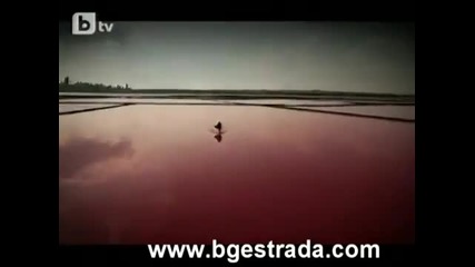 Графа - Никой в Комиците 14.10.2011