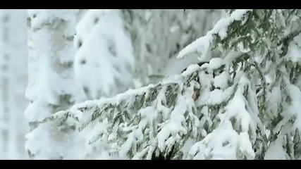 Nightwish - While Your Lips Are Still Red 