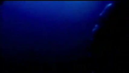 Ceca - sta jos mozes da mi das 