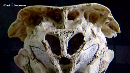 Мистерии: Родопският череп