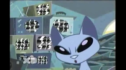 Kid vs. Kat Pokerface