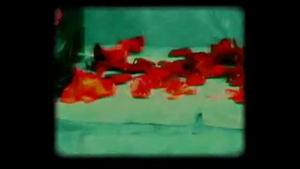 Pasko - Obicham te