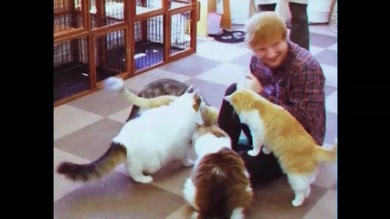 Ed Sheeran - Photograph ( Official Video )