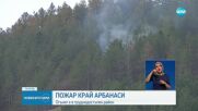 Гъст дим в борова гора в край Арбанаси