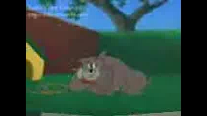 Смешни Картинки - Tom and Jerry