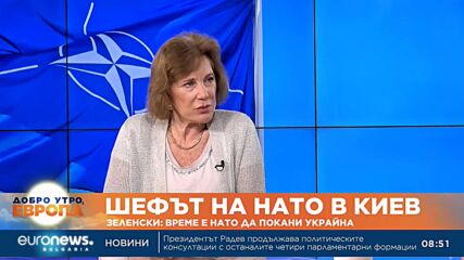 Елена Поптодорова: Украйна заслужи членство в НАТО с кръвта и саможертвеността си