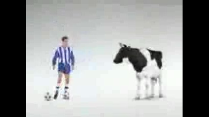 Крава Футболист