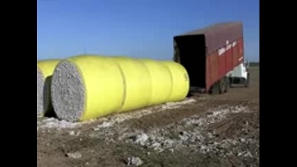 The Best truck driver
