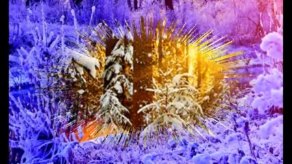 Winter Sunshine