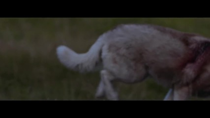 Sartanax present David Guetta - She Wolf ft. Sia