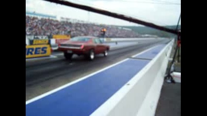 Cuda Against Mustang