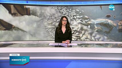 Новините на NOVA (26.04.2022 - обедна емисия)