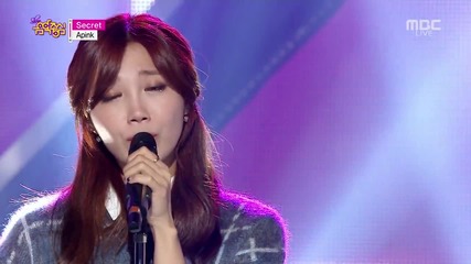[perf] A Pink - Secret (141122 Mbc Music Core)
