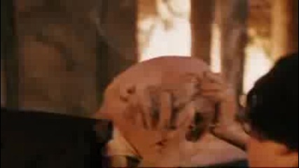 Ministry of Magic - The Hero (wizard Rock)