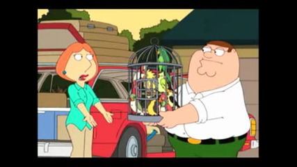 Family Guy - Tropical Birds