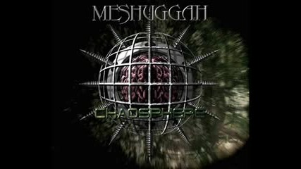 Meshuggah - The Mouth Licking What You ve Bled 