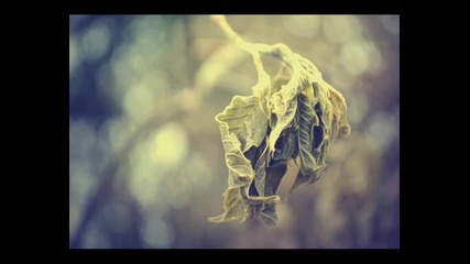 Relapzze Beatz - Dying Hope