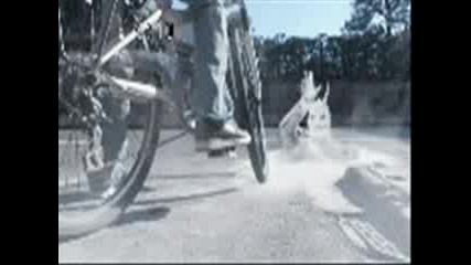 Very Funny Animated Gifs Part 71