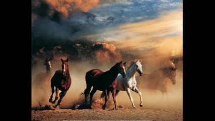 Черно Фередже - Бягат конете