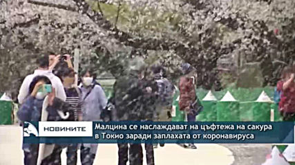 Малцина се наслаждават на цъфтежа на японските вишни в Токио заради заплахата от COVID-19
