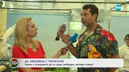 Авиариум: Мястото, където папагалите летят свободно около хората - „На кафе” (11.07.2025)