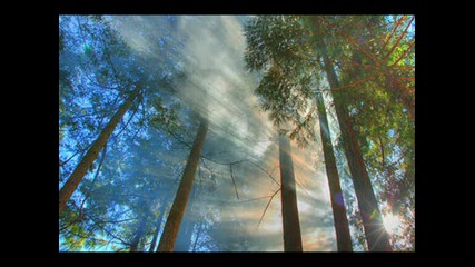 Virtual Vault - Incense