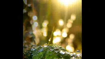 Ray Of Hope