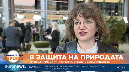 С нов еврорегламент бизнесът ще доказва, че не убива гори
