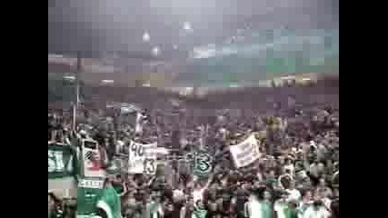 Panathinaikos Fans