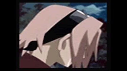 sakura (my love)